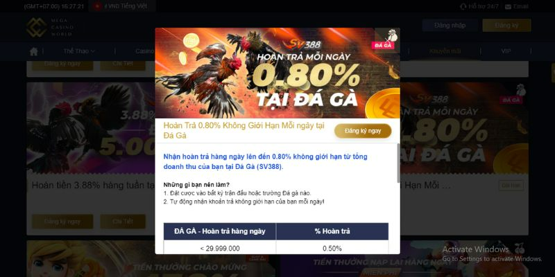 Lưu ý khi chơi đá gà casinomcw