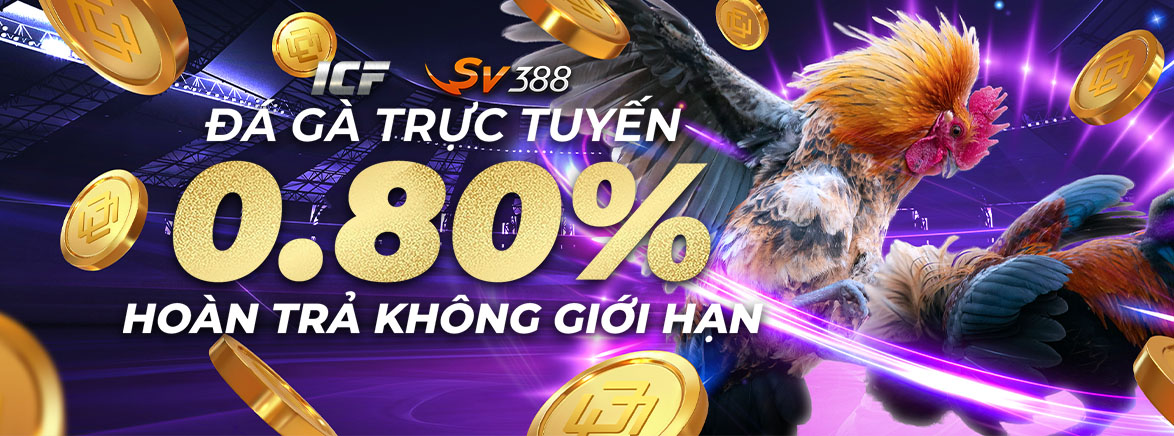 Hoàn trả mỗi ngày – Đá Gà: 0.80% Hoàn trả mỗi ngày – Đá Gà: 0.80%