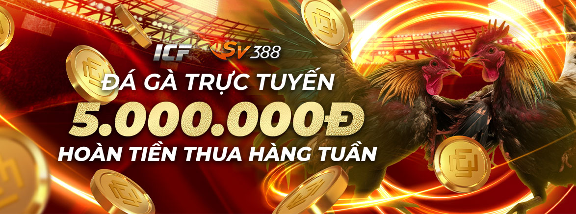 Hoàn tiền hàng tuần – Đá Gà: 3.88% lên đến 5.000.000 VND Hoàn tiền hàng tuần – Đá Gà: 3.88% lên đến 5.000.000 VND
