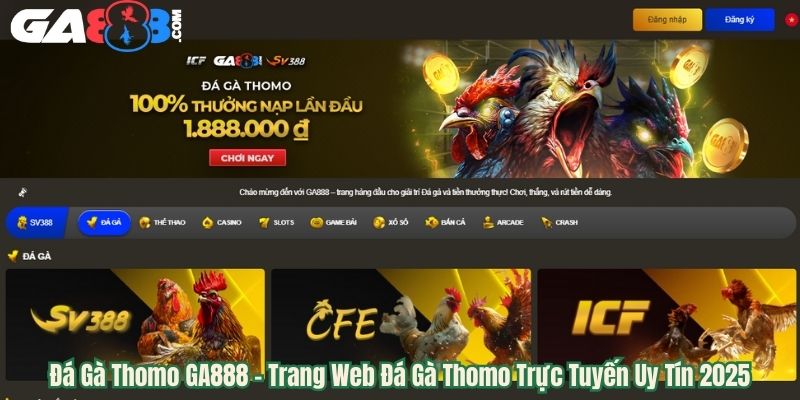 Đá Gà Thomo GA888 – Trang Web Đá Gà Thomo Trực Tuyến Uy Tín 2025